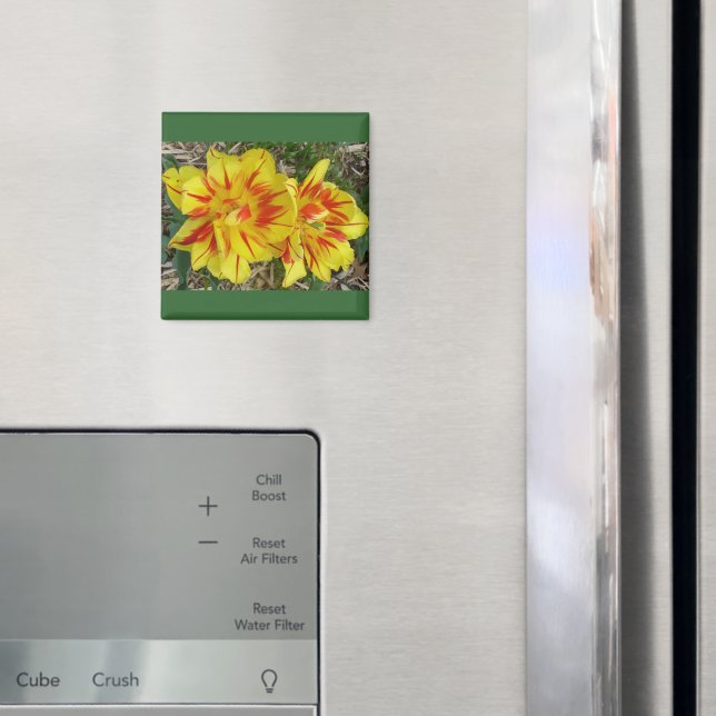 Yellow with Red Striped Flower Magnet (In Situ (Fridge))