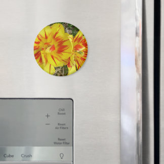 Yellow with Red Striped Flower Magnet