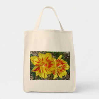 Yellow with Red Striped Flower Orgnaic Bag