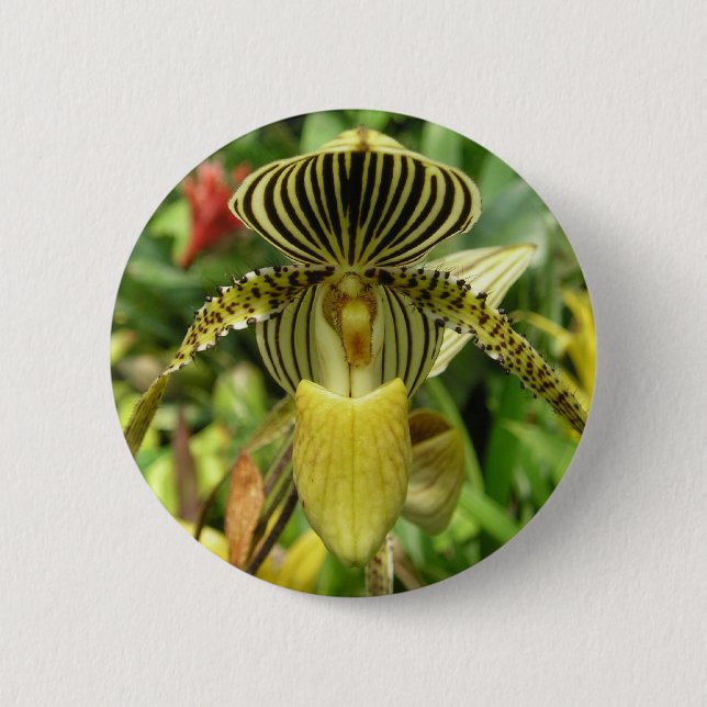 Yellow Zebra Stripes Orchid 6 Cm Round Badge (Front)