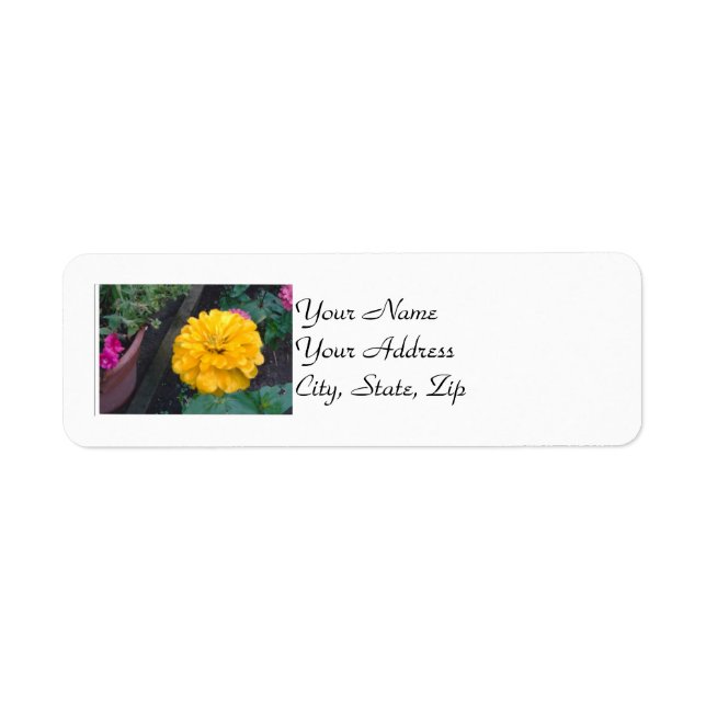 Yellow Zinnia (Front)