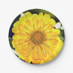 Yellow Zinnia Paper Plate