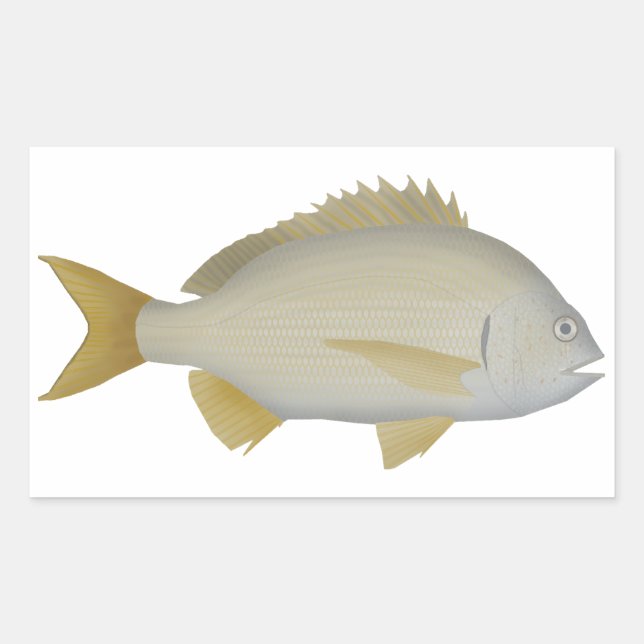 Yellowfin Bream Rectangular Sticker (Front)