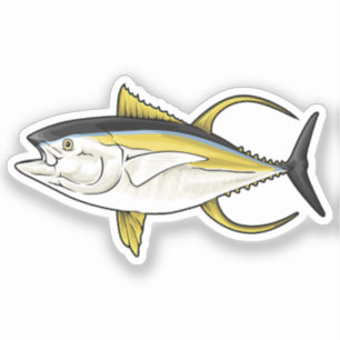Yellowfin Tuna Vector Illustration