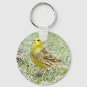 Yellowhammer Yellow Bird Keychain