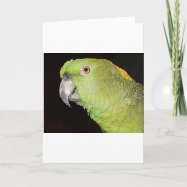 Yellownape Amazon Card (Front)