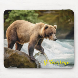Yellowstone Bear Mouse Pad