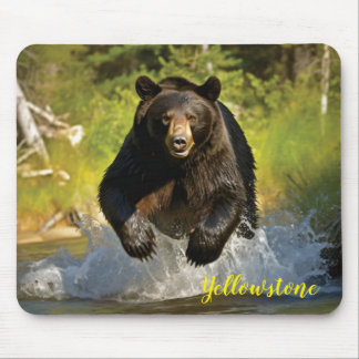 Yellowstone Bear Mouse Pad