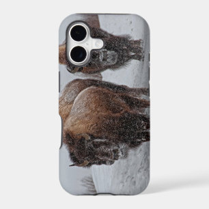 Yellowstone Bison