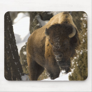 Yellowstone Bison Bull in Winter - Customised Mouse Pad