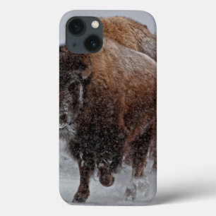 Yellowstone Bison iPhone 13 Case