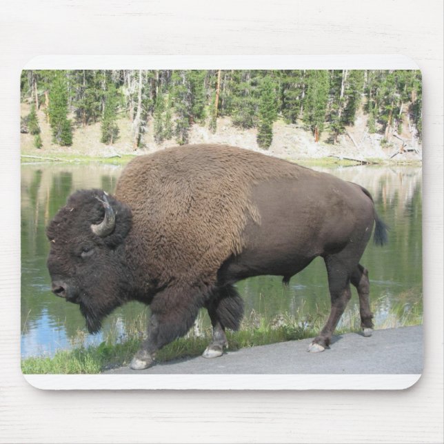 Yellowstone Bison Mouse Pad (Front)