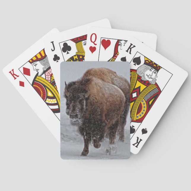 Yellowstone Bison Playing Cards (Back)
