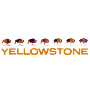 Yellowstone Bison Running T-Shirt