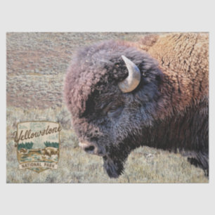 Yellowstone Bison with Park Logo Tissue Paper