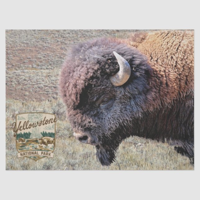 Yellowstone Bison with Park Logo Tissue Paper (Front)