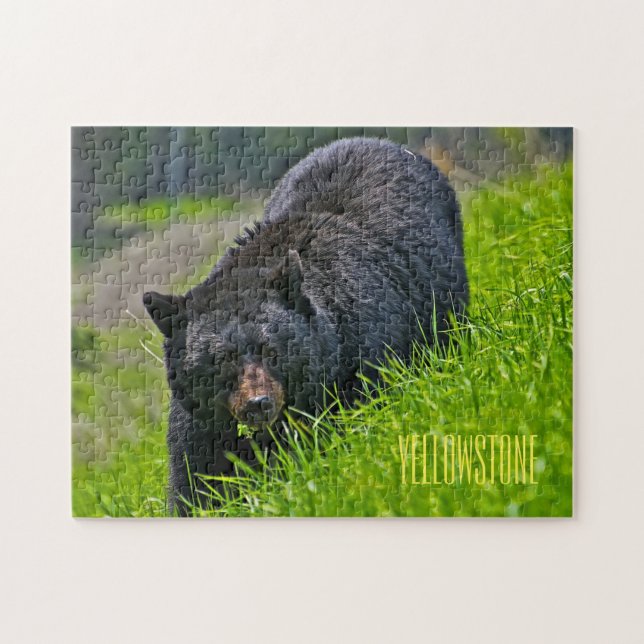 Yellowstone Black Bear Game Puzzle (Horizontal)