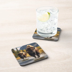 Yellowstone Buffalo Coaster Set