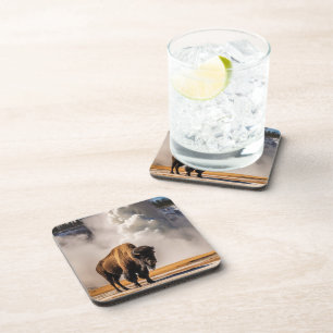 Yellowstone Buffalo Coaster Set
