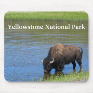Yellowstone Buffalo in Pond Mouse Pad
