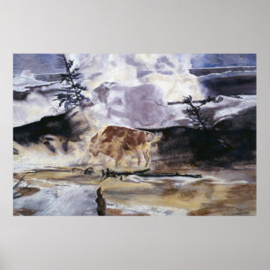 Yellowstone Buffalo in Winter Poster