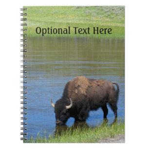 Yellowstone Buffalo Souvenir Spiral Notebook