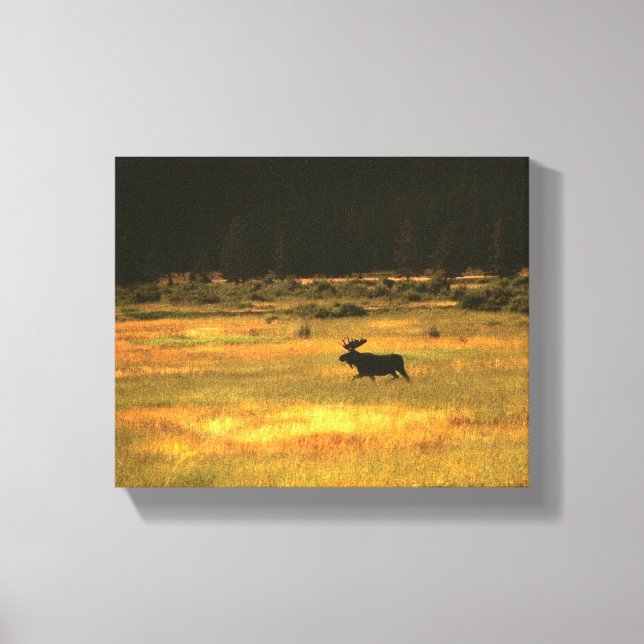 Yellowstone Bull Moose Wall Art (Front)