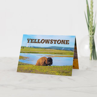 Yellowstone Card