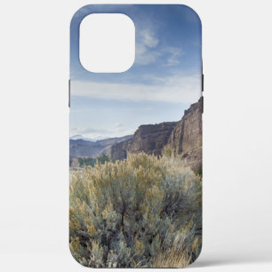 Yellowstone iPhone 12 Pro Max Case