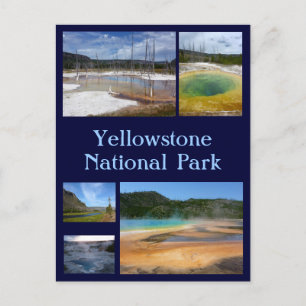 Yellowstone Collage 1 Postcard