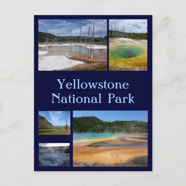 Yellowstone Collage 1 Postcard (Front)
