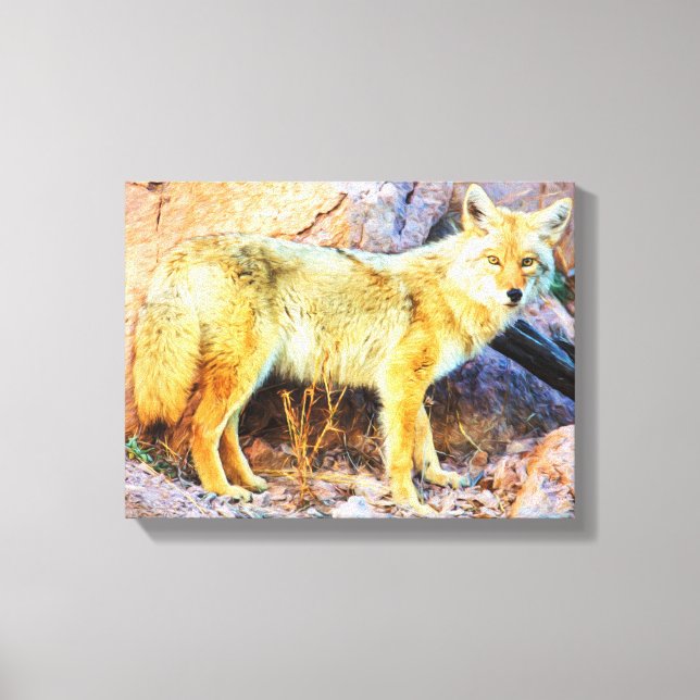 Yellowstone Coyote Canvas Print (Front)