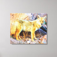Yellowstone Coyote