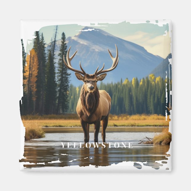 Yellowstone Elk  Magnet (Front)