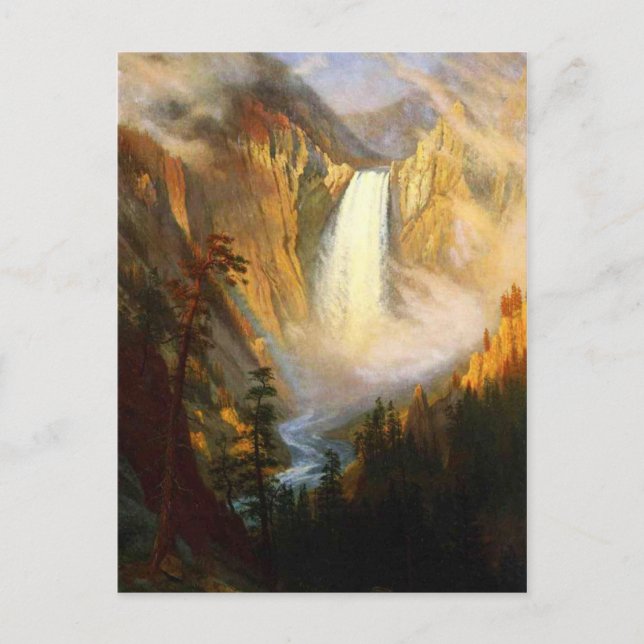 Yellowstone Falls Postcard (Front)