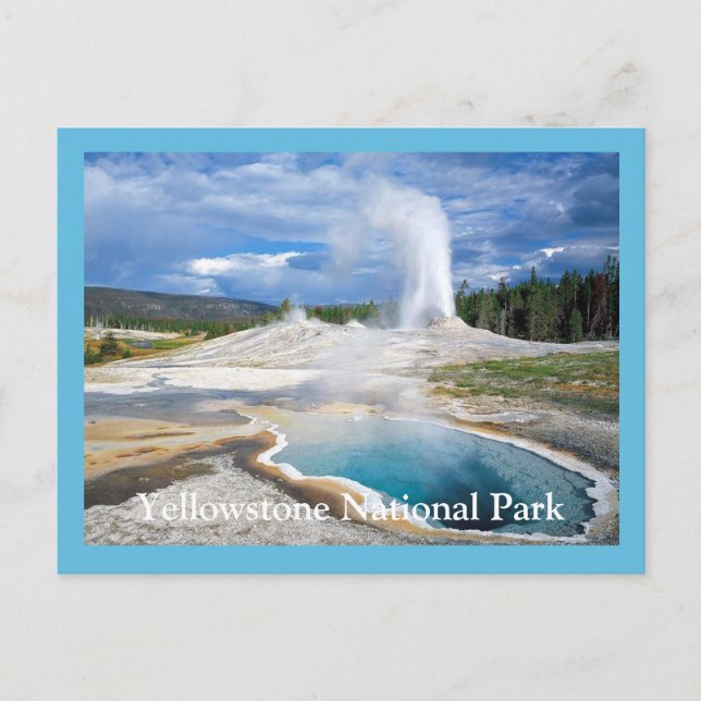 Yellowstone Geyser Postcard (Front)