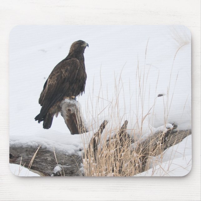 Yellowstone Golden Eagle Mouse Pad (Front)