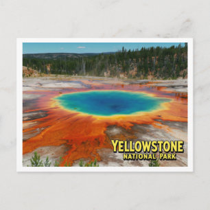 Yellowstone Grand Prismatic Photo Postcard