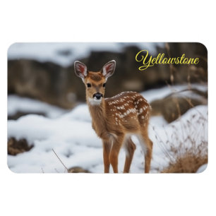 Yellowstone Magnet-Fawn Deer Magnet