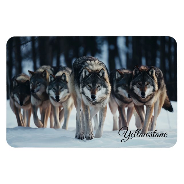 Yellowstone Magnet-Wolves Magnet (Horizontal)