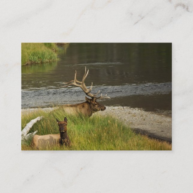 Yellowstone Mates Mini Print Business Card (Front)