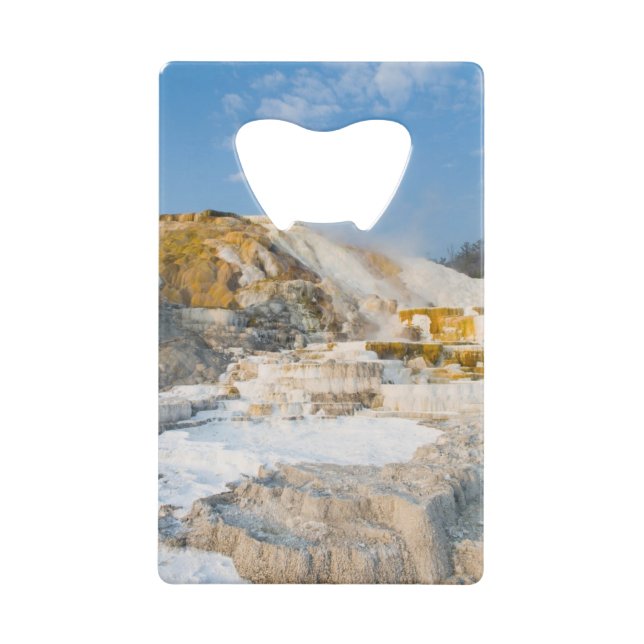 Yellowstone National Park (Front)