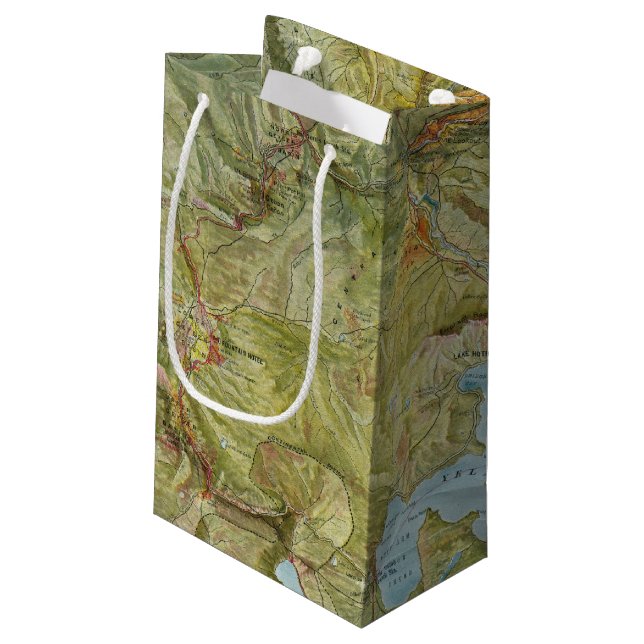 Yellowstone National Park 2 Small Gift Bag (Back Angled)