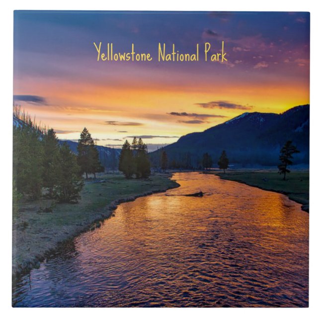Yellowstone National Park at Sunset  Tile (Front)