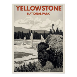 Yellowstone National Park – Bison Poster