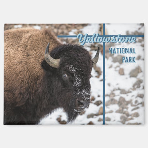 Yellowstone National Park Bison Souvenir Gift Magnet