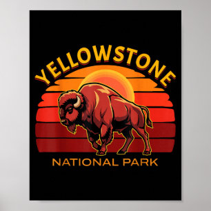 Yellowstone National Park Buffalo Bison Sunset Poster