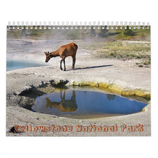 Yellowstone National Park Calendar