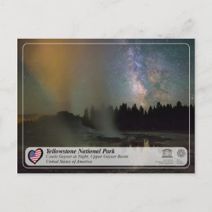Yellowstone National Park - Castle Geyser Postcard