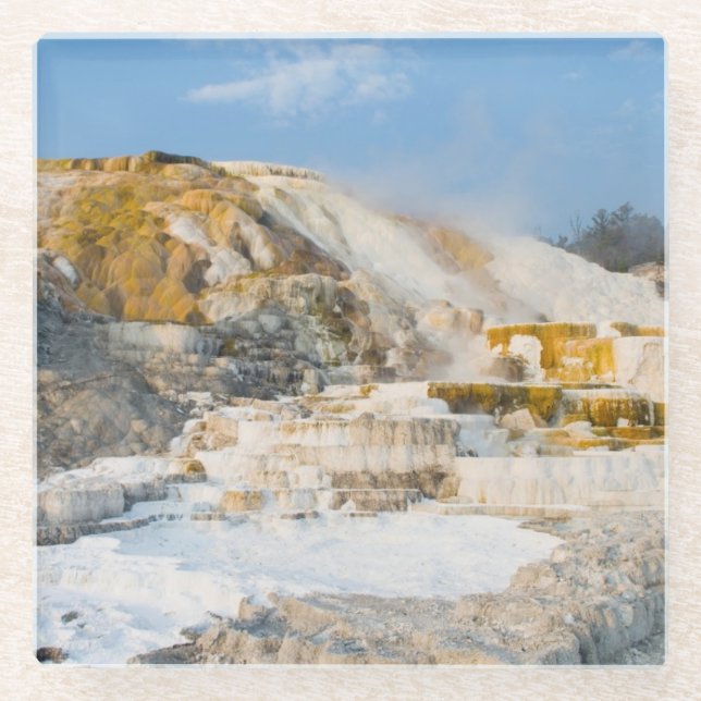 Yellowstone National Park Glass Coaster (Front)